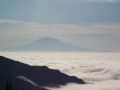 Mount Adams rises into the morning.jpg